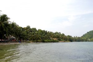 Hàng dừa nghiêng bóng bên bãi biển nước trong veo