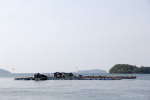 Bè nuôi hải sản ở trên đảo