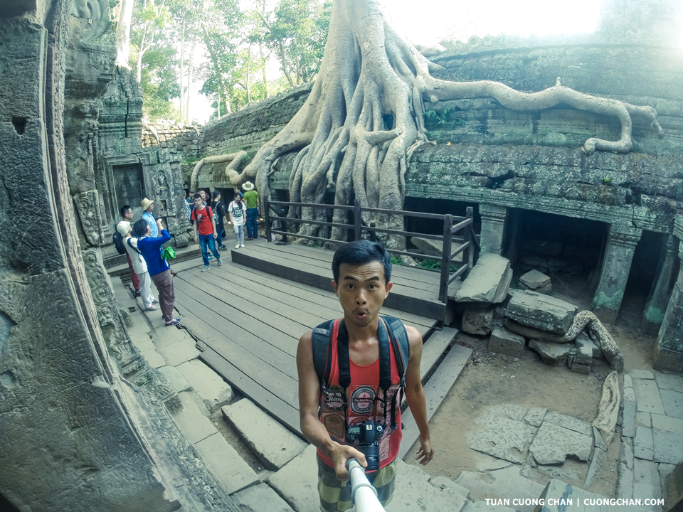Bụi Cam Thái Lào Selfie