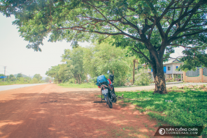 Nghĩ chân ở dưới tán cây lớn trên đường đi Siem Reap