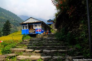 Đường về Tikhedhungga đi qua những ngôi làng tuyệt đẹp