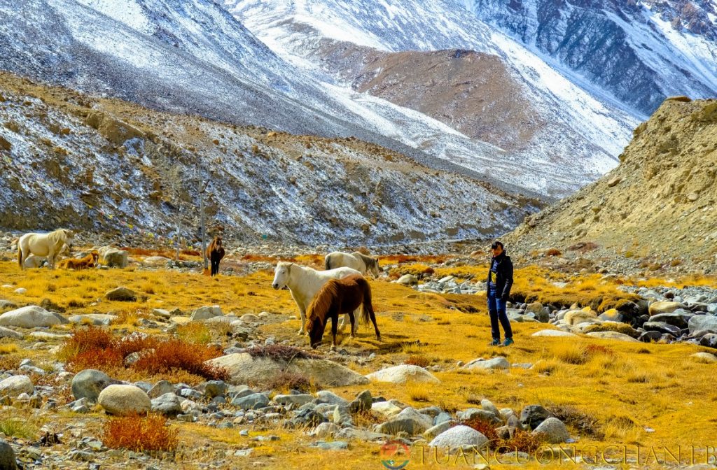 Du lịch Ladakh là niềm mơ ước của nhiều người, nên cần lên chi phí hợp lý - Chi phí du lịch Ladakh